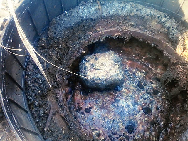 septic maintenance texas cities 
      zip batch